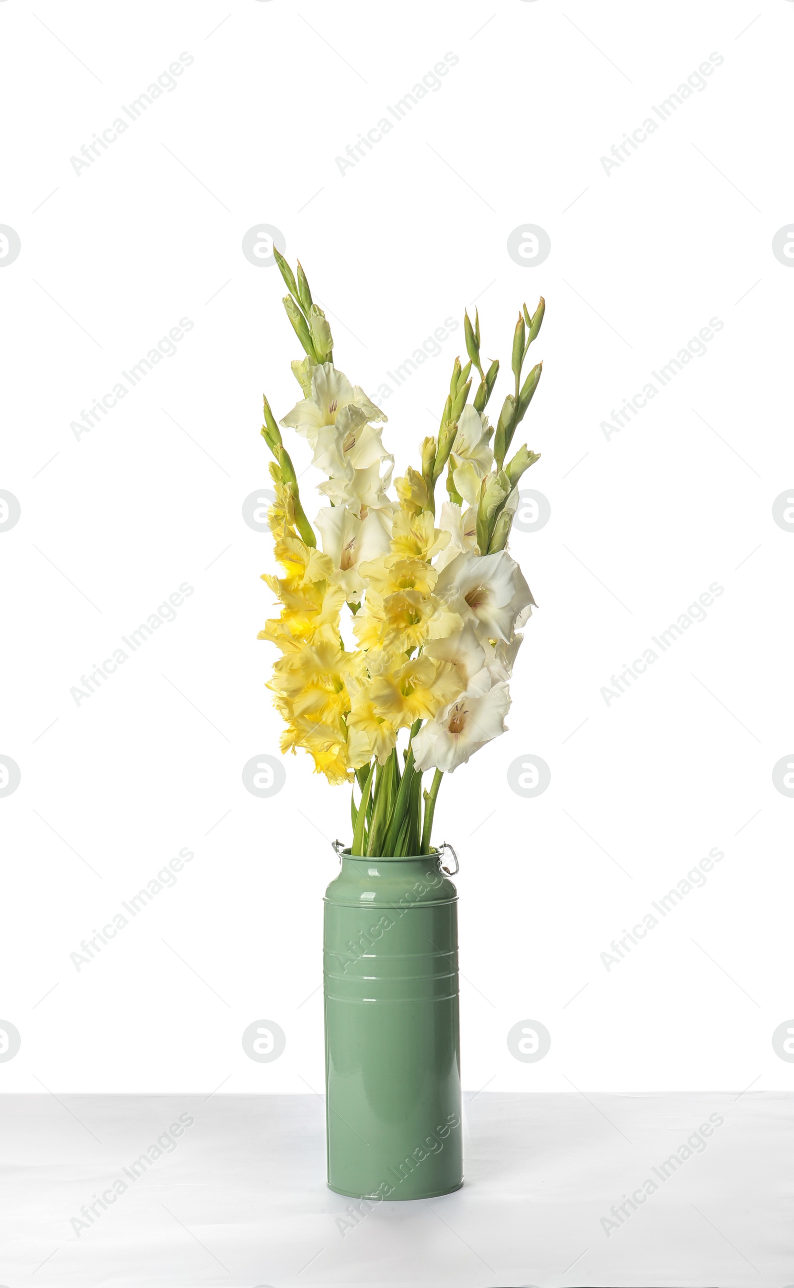 Photo of Vase with beautiful gladiolus flowers on white background