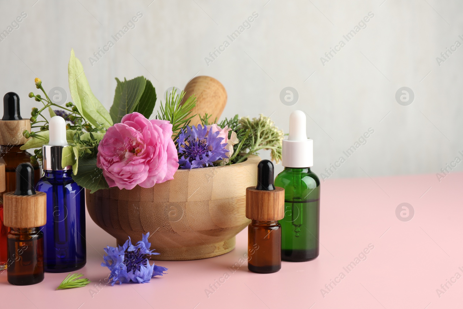 Photo of Aromatherapy. Different essential oils and flowers on pink table. Space for text