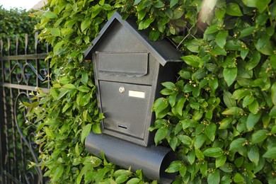 Photo of Black metal letter box on fence with leaves outdoors