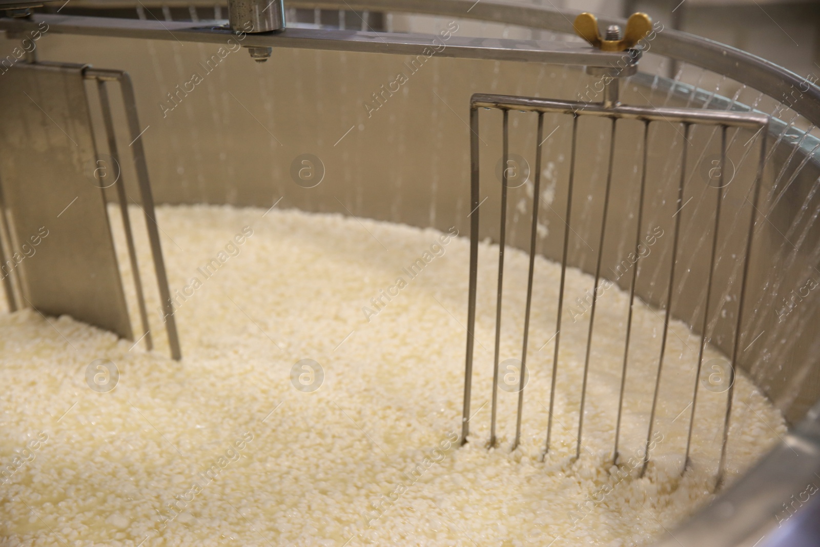 Photo of Adding water to curd and whey in tank at cheese factory