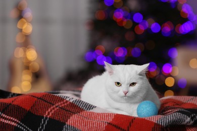 Photo of Christmas atmosphere. Adorable cat with bauble resting on blanket indoors. Space for text