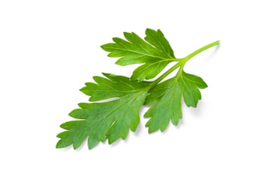 Fresh green organic parsley on white background