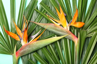 Photo of Creative composition with tropical leaves and bird of paradise flowers, top view