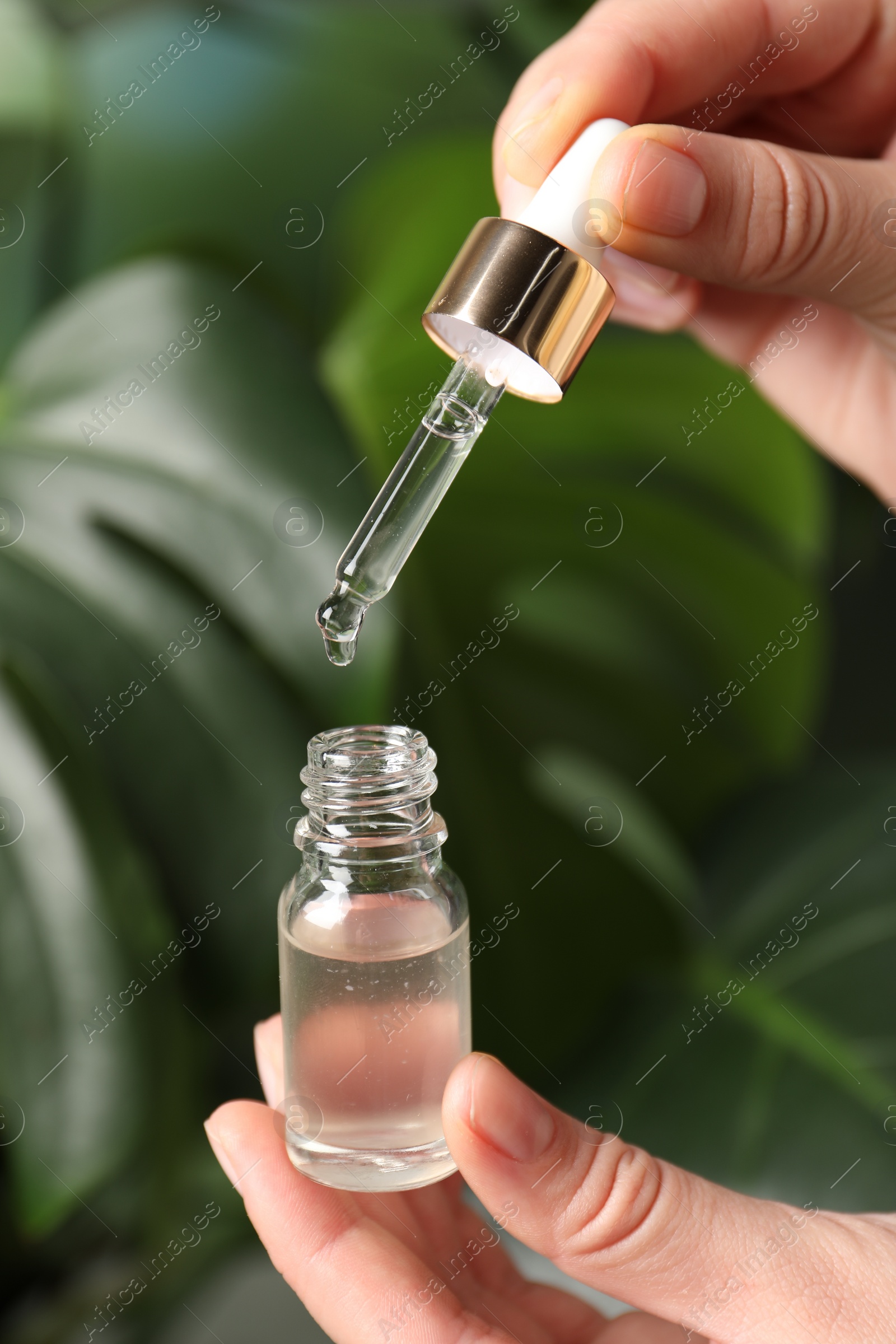 Photo of Woman dripping cosmetic serum from pipette into bottle on blurred background, closeup