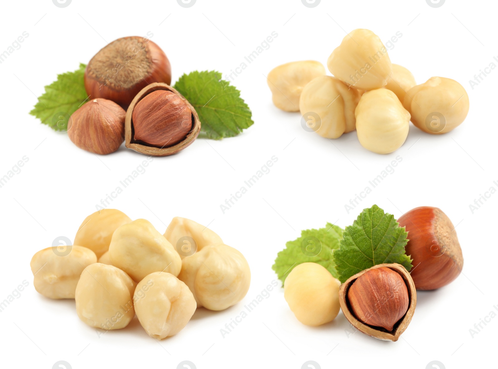 Image of Set with tasty hazelnuts on white background 