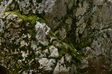 Photo of View of rock overgrown with green moss outdoors