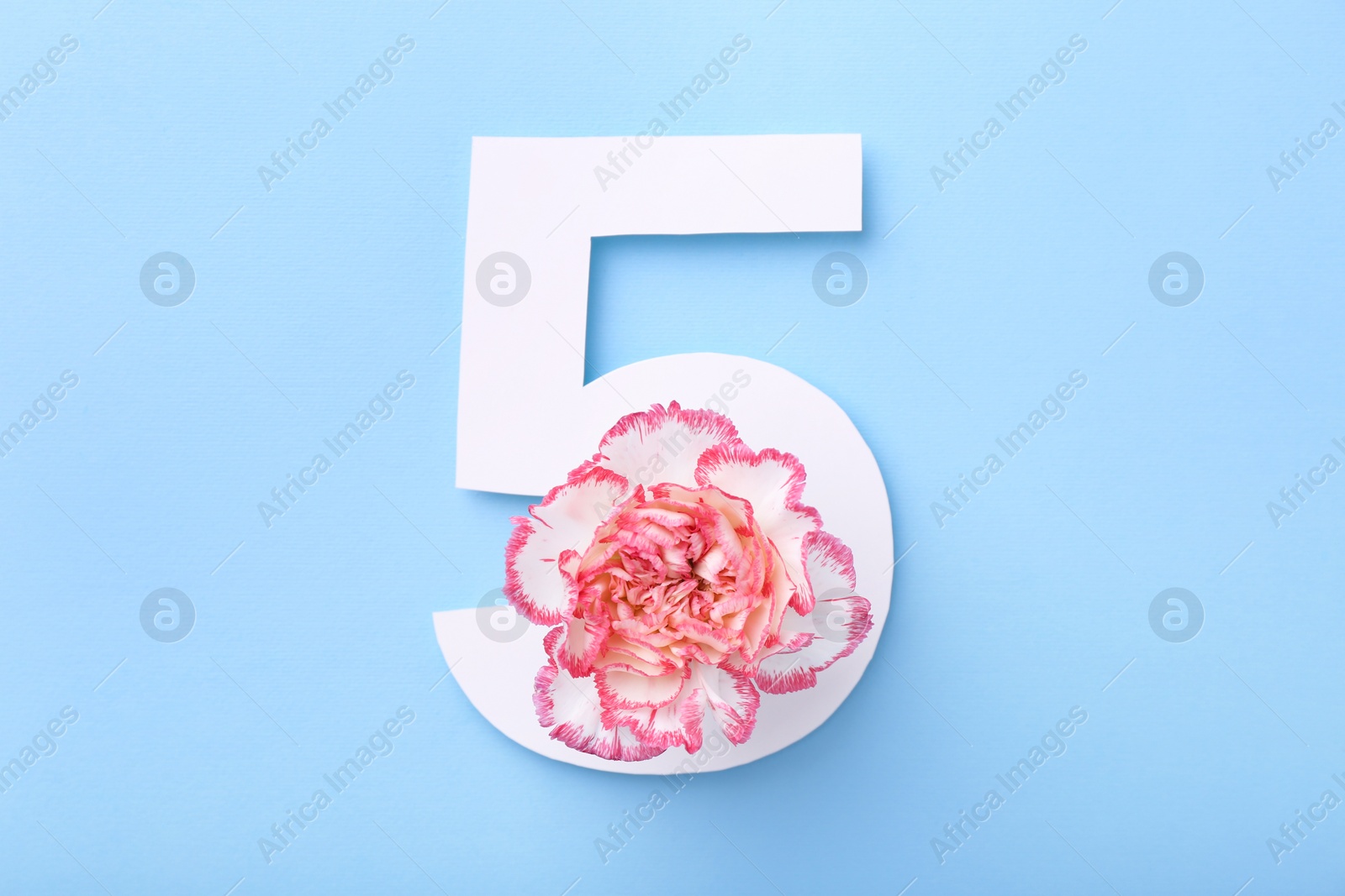 Photo of Paper number 5 and beautiful flower on light blue background, top view