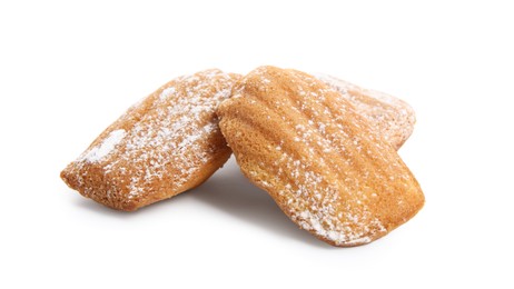 Photo of Delicious madeleine cakes with powdered sugar on white background