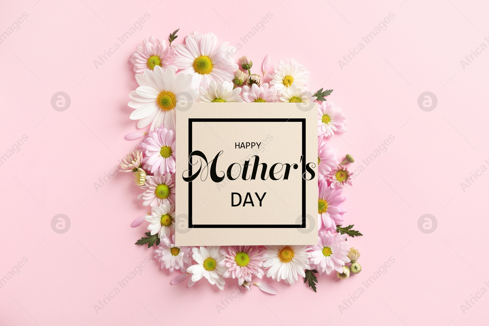 Image of Happy Mother's Day greeting card and beautiful flowers on pink background, flat lay