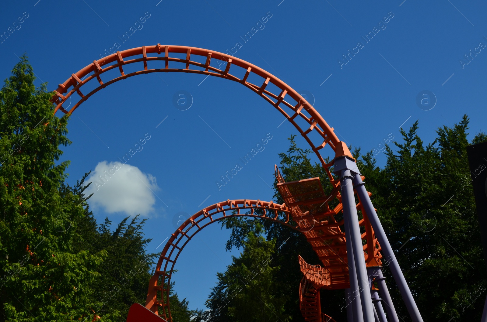 Photo of Amusement park. Beautiful colorful rollercoaster and green trees against blue sky