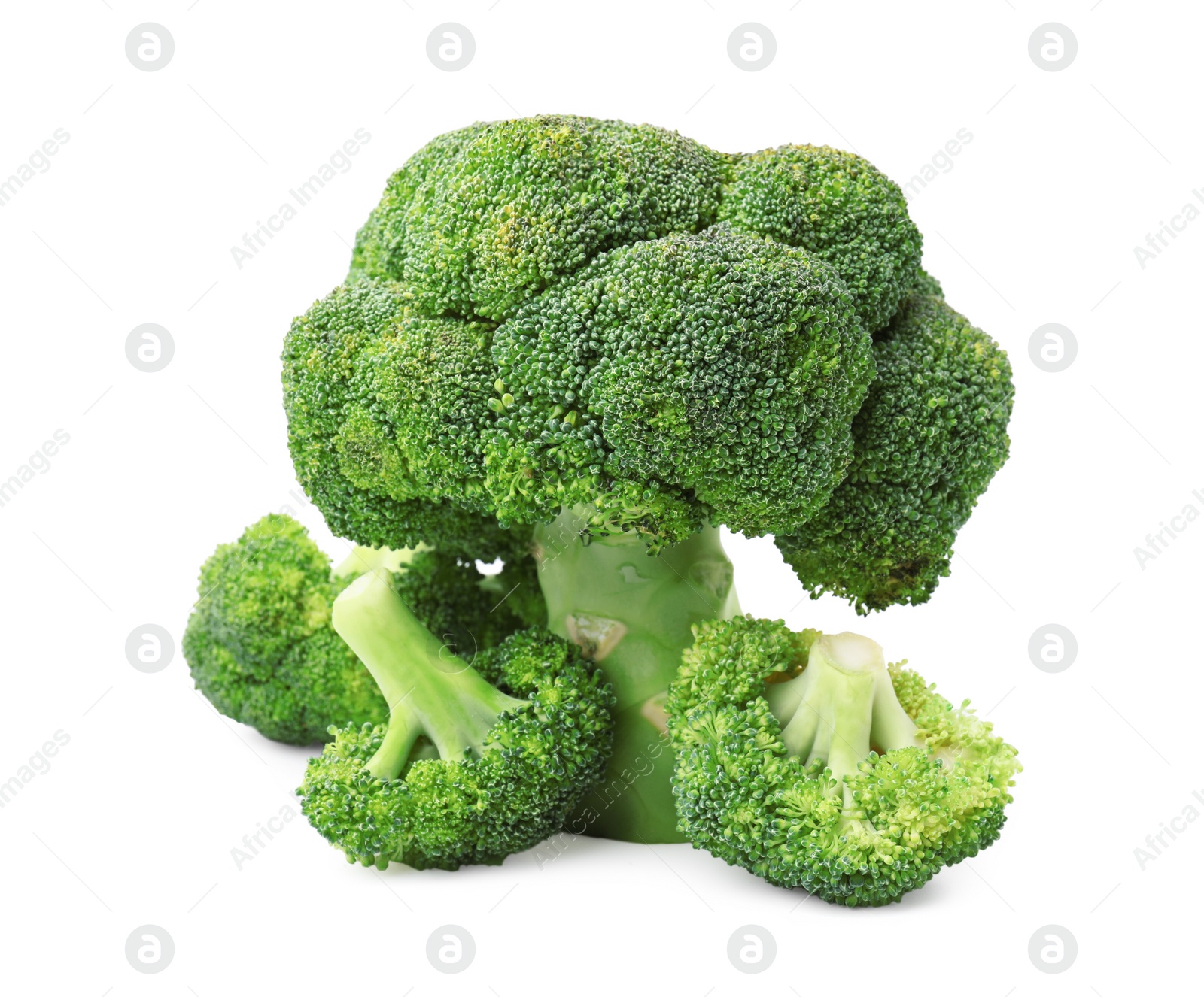 Photo of Fresh raw green broccoli isolated on white