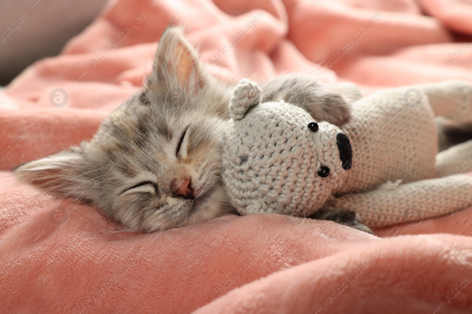 Photo of Cute kitten sleeping with toy on soft pink blanket