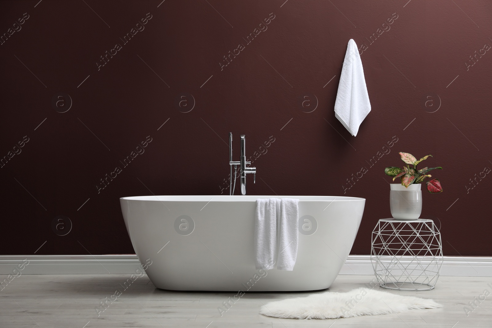 Photo of Modern ceramic bathtub and plant near burgundy wall indoors