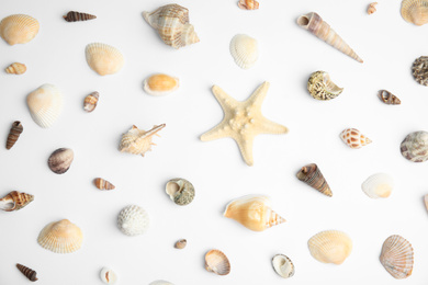 Photo of Different beautiful sea shells on white background, top view