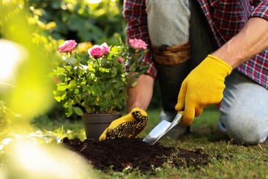 Man transplanting beautiful flowers into soil outdoors on sunny day, closeup. Gardening time