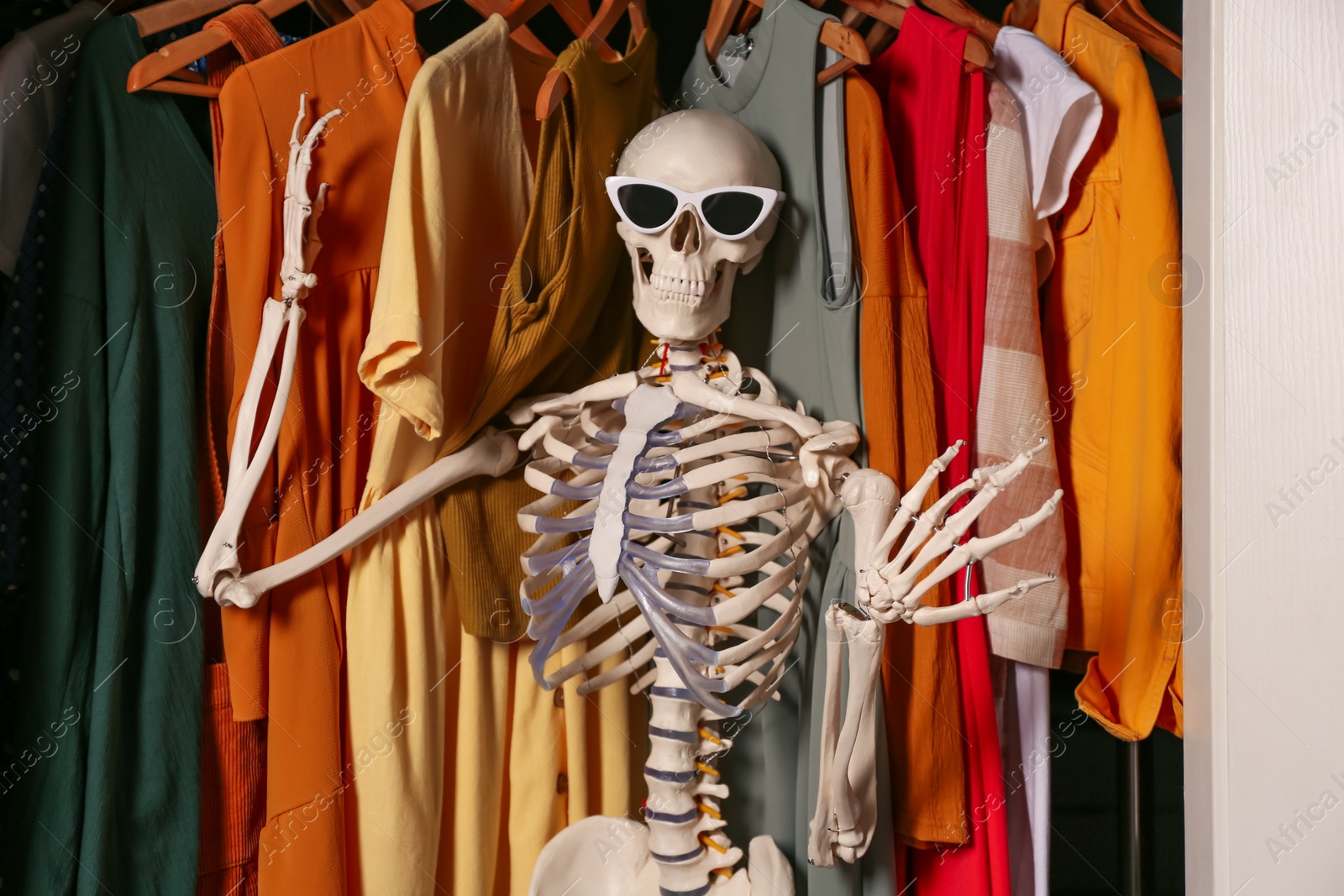 Photo of Artificial human skeleton model among clothes in wardrobe