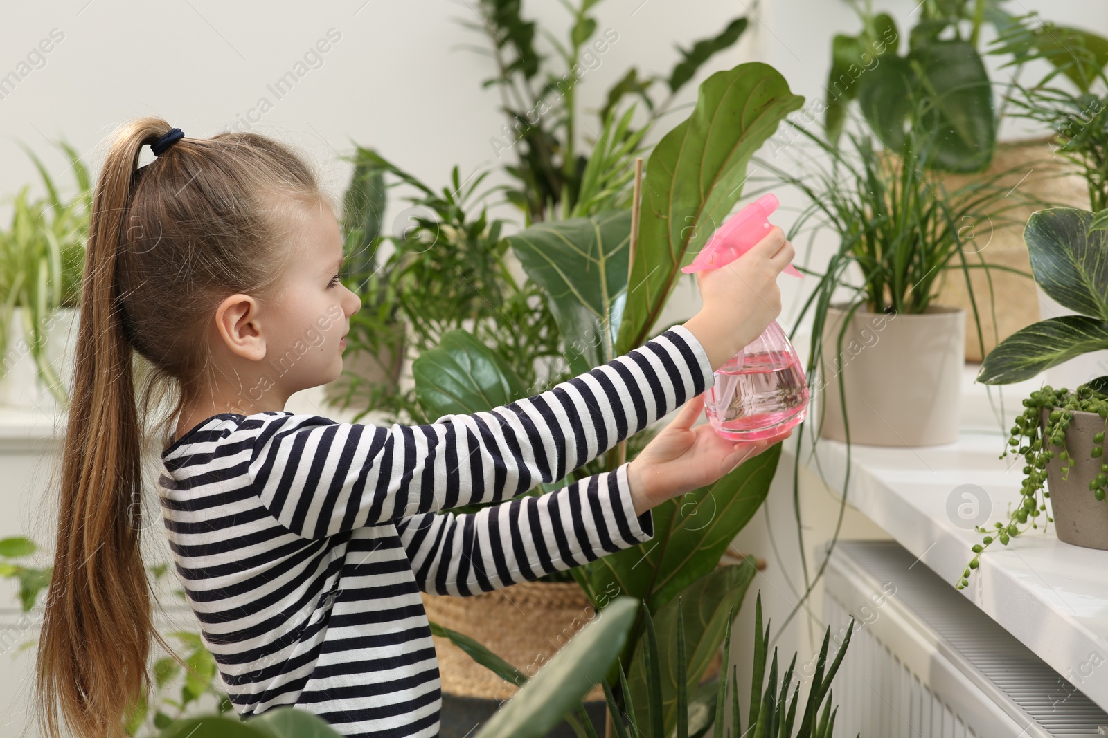 Photo of Cute little girl spraying beautiful green plant on windowsill at home. House decor