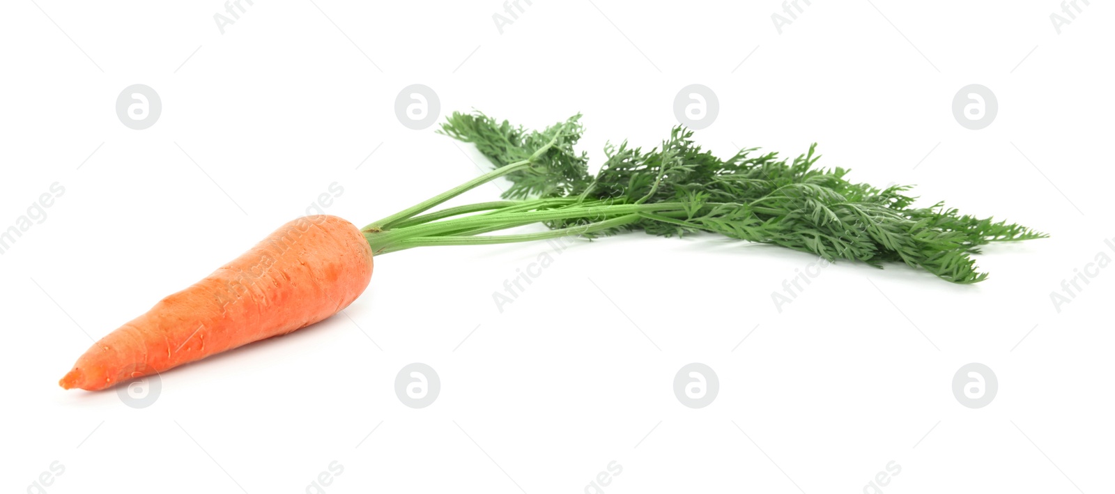 Photo of Fresh ripe juicy carrot isolated on white