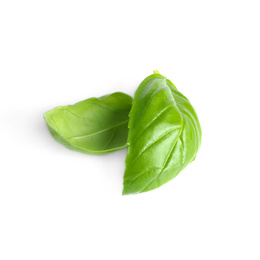 Photo of Fresh green basil leaves isolated on white