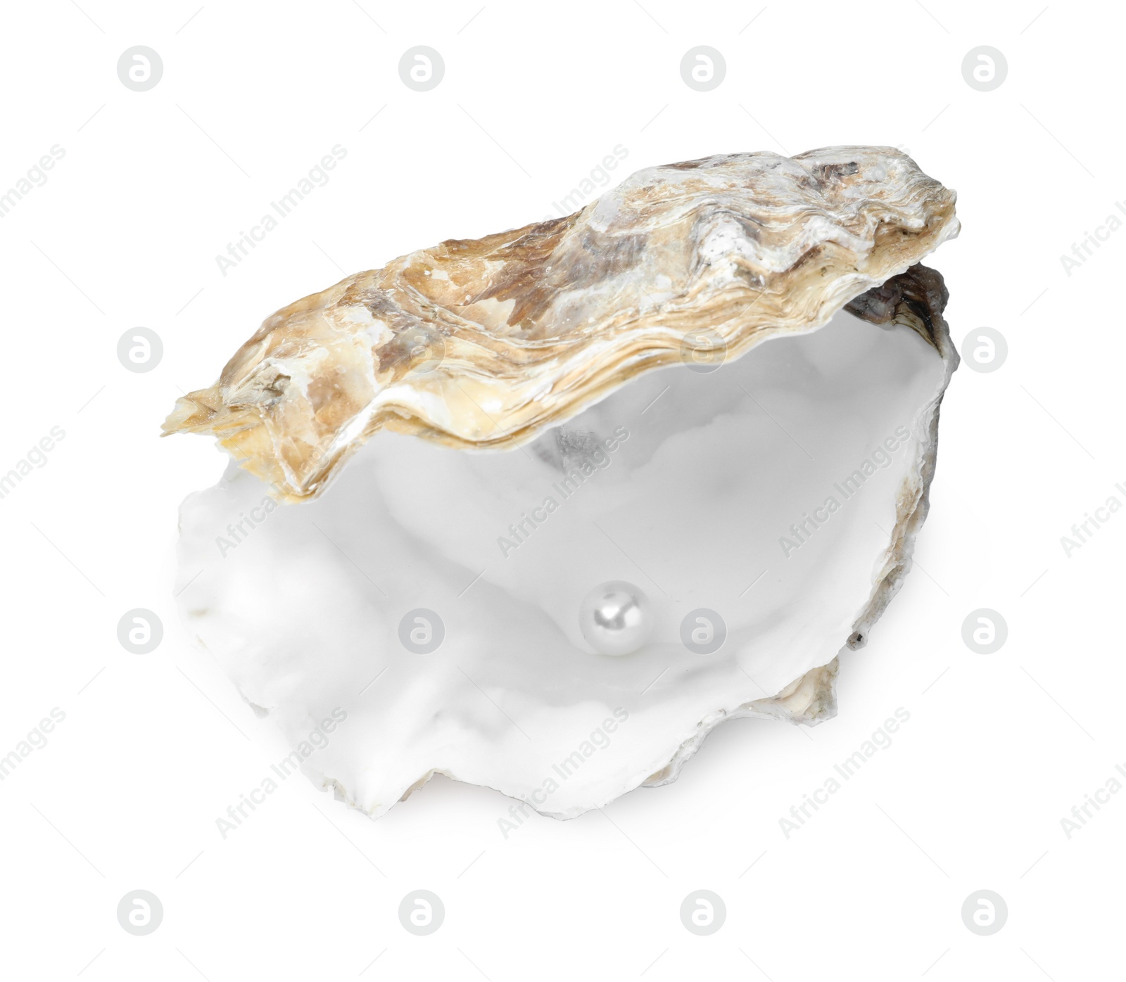 Photo of Open oyster with pearl isolated on white