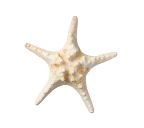 Photo of Beautiful sea star isolated on white. Beach object