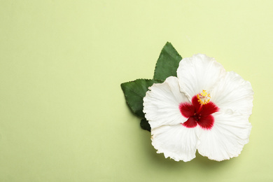 Photo of Beautiful tropical hibiscus flower with leaves on light green background, top view. Space for text