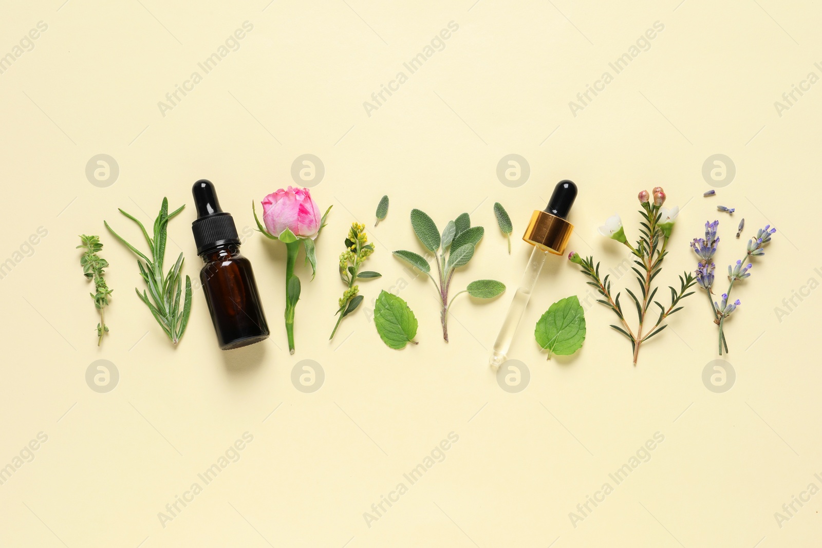 Photo of Bottle of essential oil, pipette, different herbs and rose flower on beige background, flat lay
