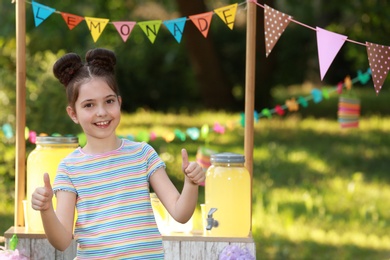 Cute little girl near lemonade stand in park, space for text. Summer refreshing natural drink