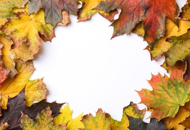Frame made of autumn leaves on white background, top view. Space for text