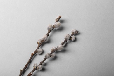 Photo of Beautiful willow branches with fuzzy catkins on light grey background, flat lay