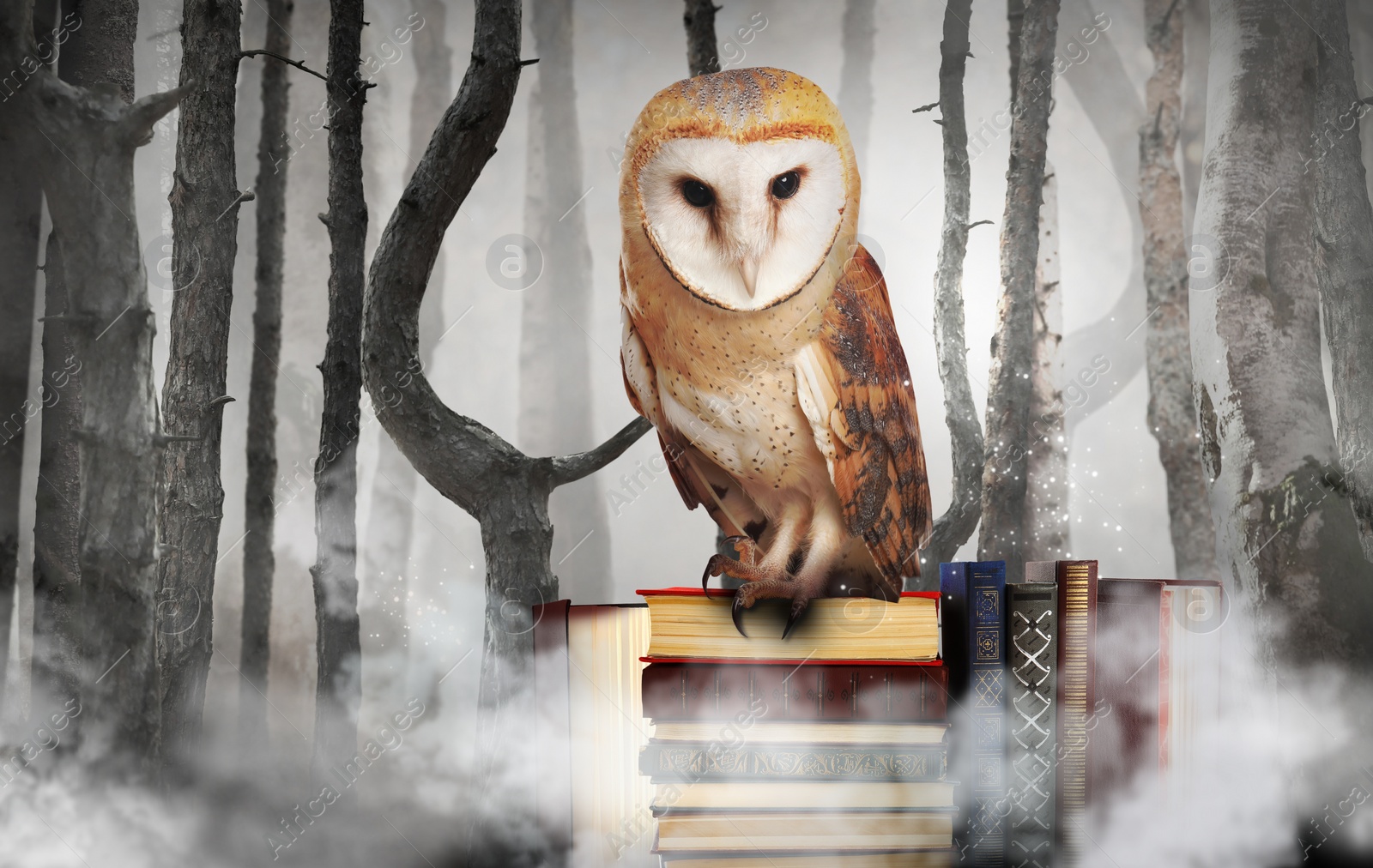 Image of Beautiful wise owl on books in fantasy world