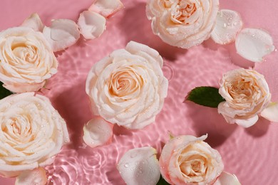 Beautiful roses and petals in water on pink background, top view