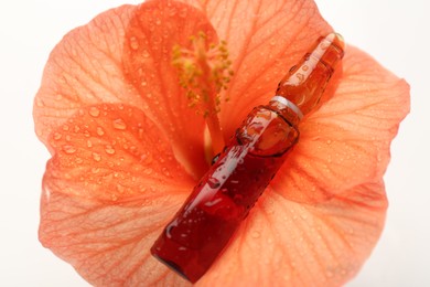 Skincare ampoules and hibiscus flower with water drops on white background, above view