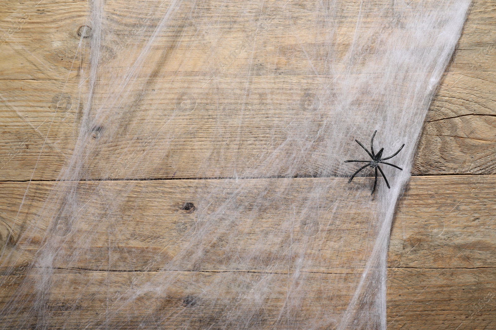 Photo of Cobweb and spider on wooden surface, top view