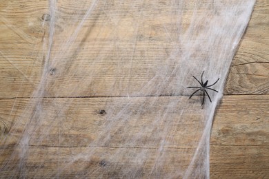 Cobweb and spider on wooden surface, top view