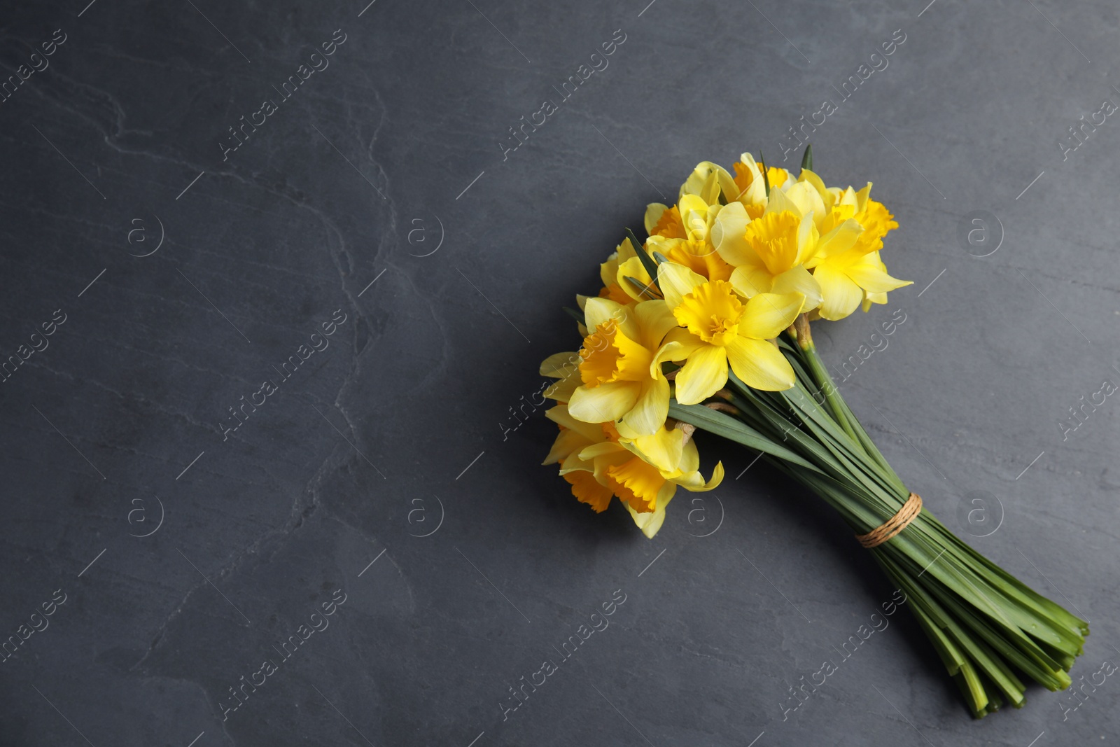 Photo of Bouquet of daffodils on dark background, top view with space for text. Fresh spring flowers