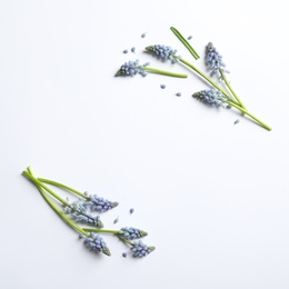 Photo of Frame made of spring muscari flowers on white background, top view with space for text