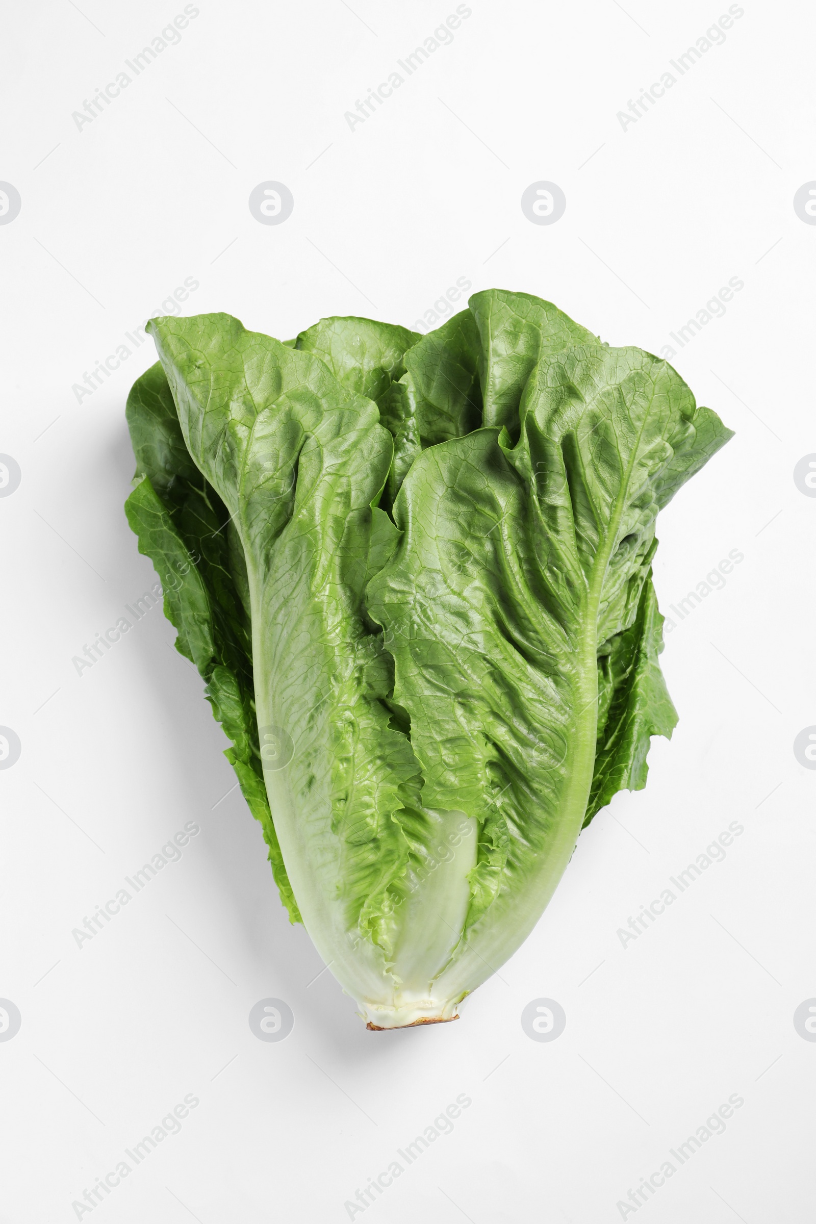 Photo of Fresh green romaine lettuce on white background, top view