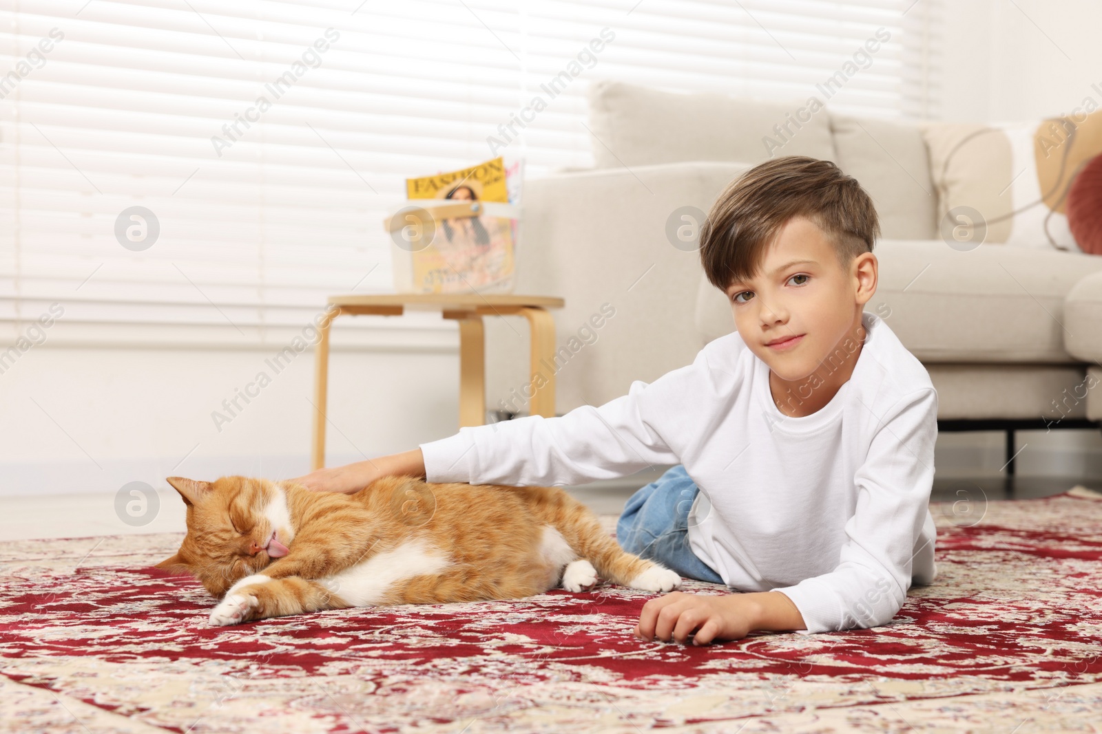 Photo of Little boy petting cute ginger cat on carpet at home