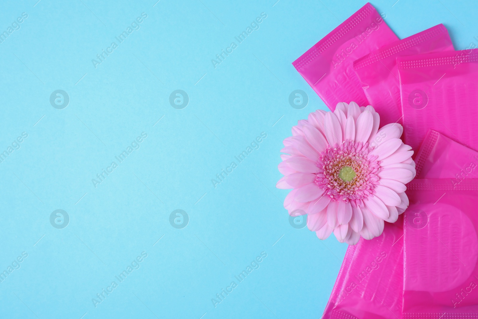 Photo of Packed menstrual pads and flower on color background, flat lay with space for text. Gynecological care