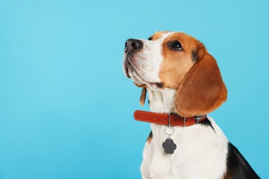 Photo of Adorable Beagle dog in stylish collar on light blue background. Space for text