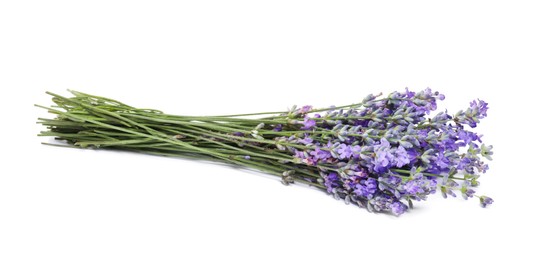 Bouquet of beautiful lavender flowers isolated on white