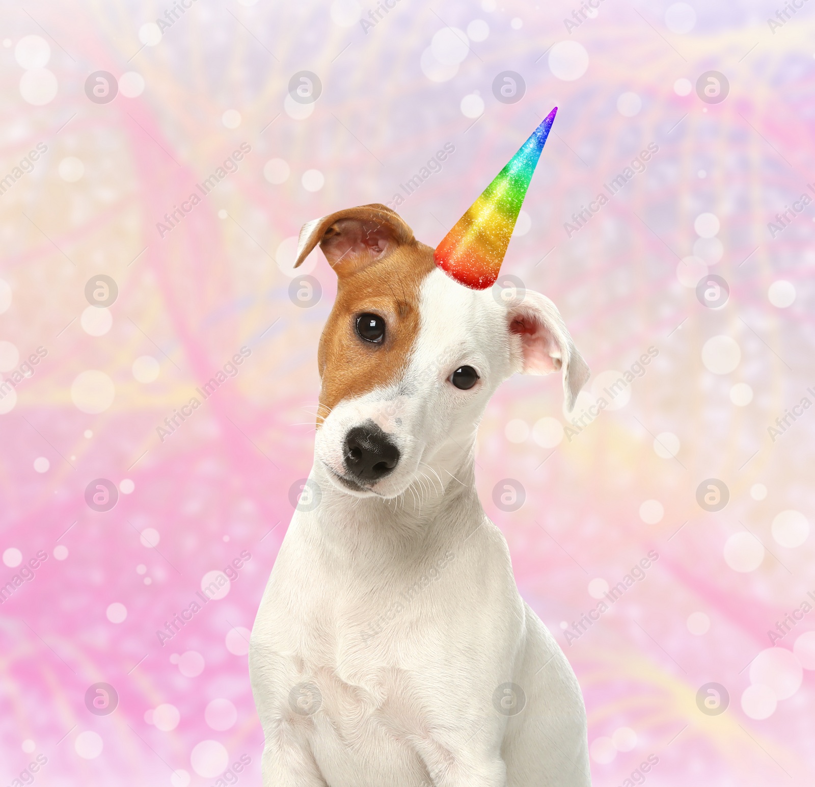 Image of Cute dog with rainbow unicorn horn on blurred sparkling background