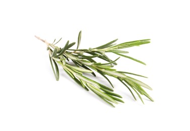 Photo of Sprig of fresh rosemary isolated on white