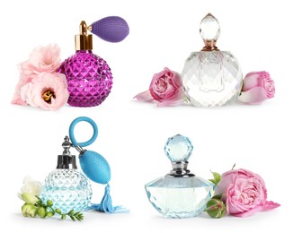 Image of Set with different bottles of perfume and flowers on white background