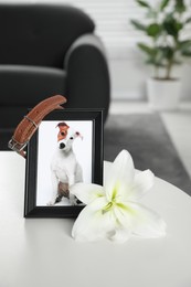 Photo of Frame with picture of dog, collar and lily flower on white table indoors. Pet funeral