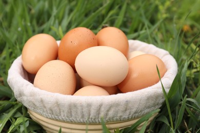 Fresh chicken eggs in basket on green grass outdoors, closeup