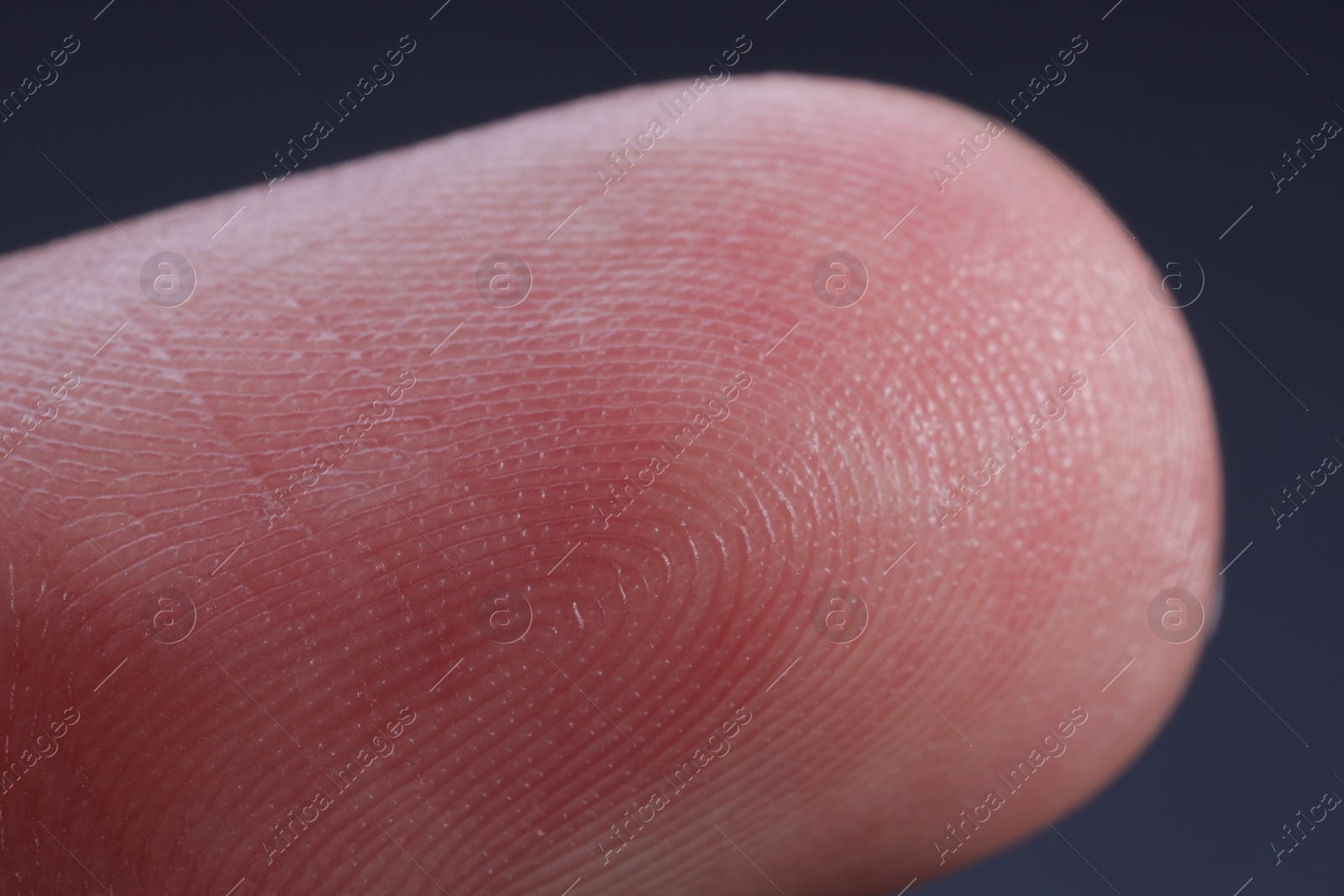 Photo of Finger with friction ridges on dark background, macro view