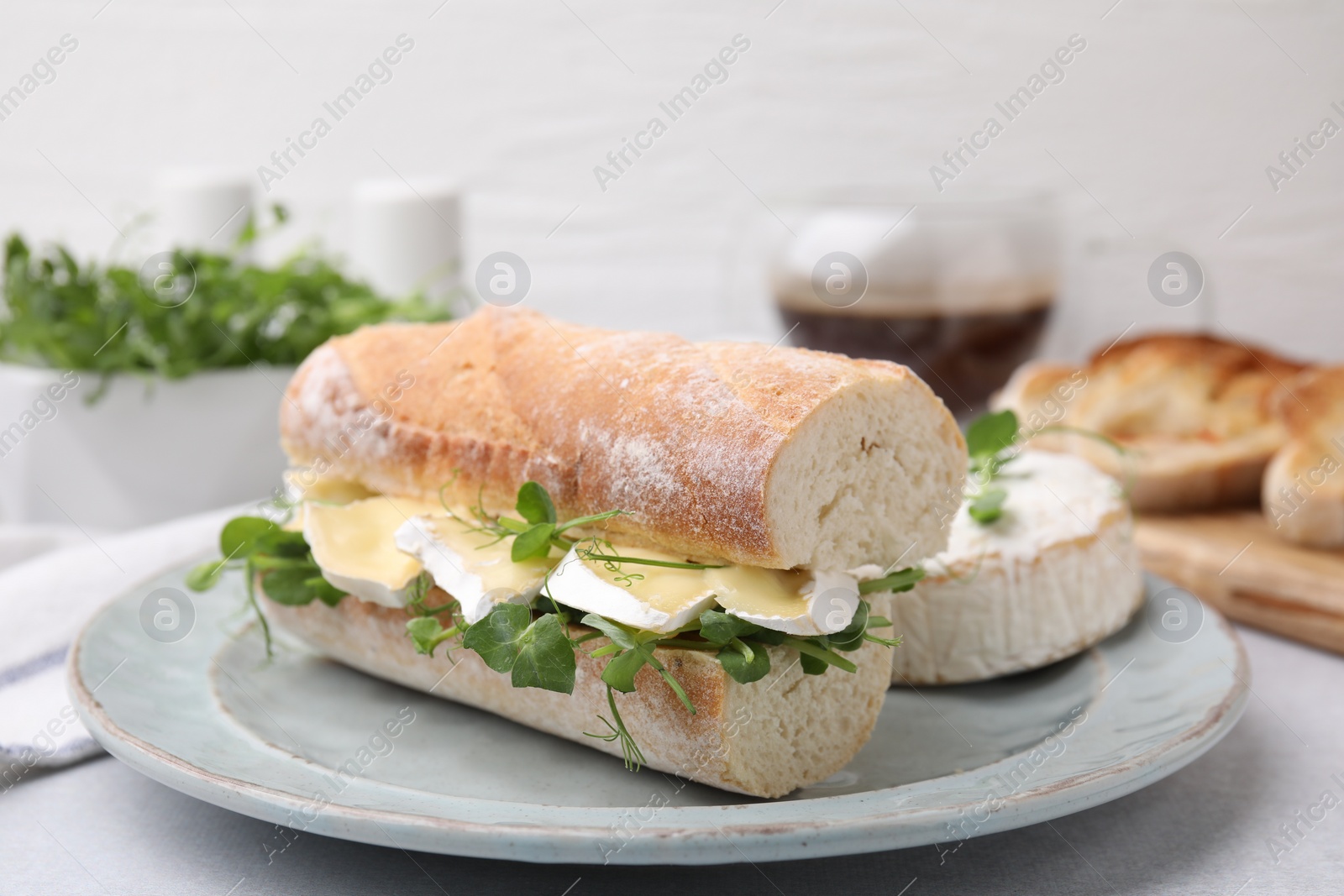 Photo of Tasty sandwich with brie cheese on light grey table, closeup