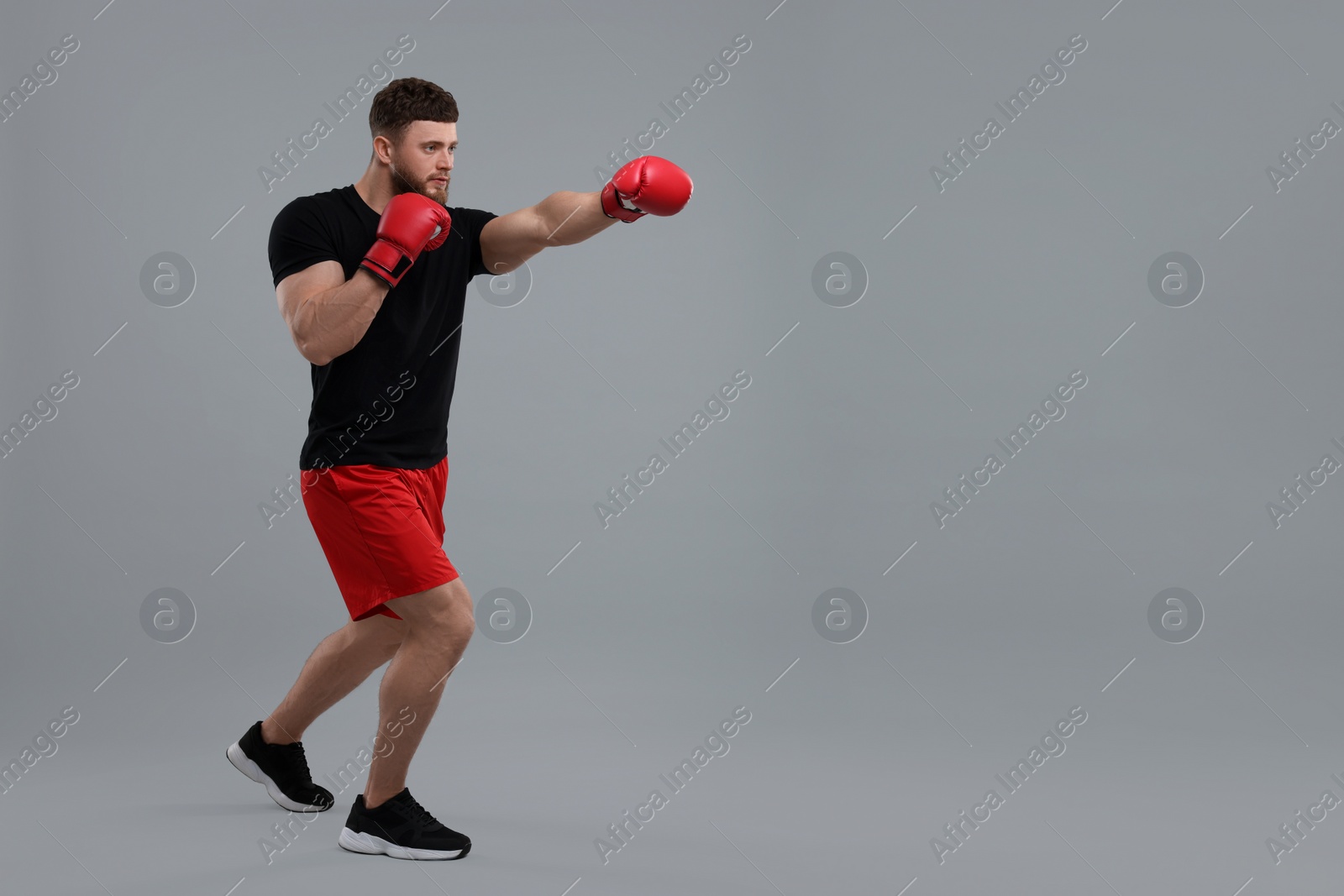 Photo of Man in boxing gloves fighting on grey background. Space for text